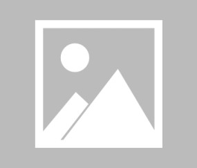 麻将胡了模拟器-PUMA成为迈凯伦车队官方合作伙伴|F1车队|f1赛车|迈凯伦F1车队|F1|车迷